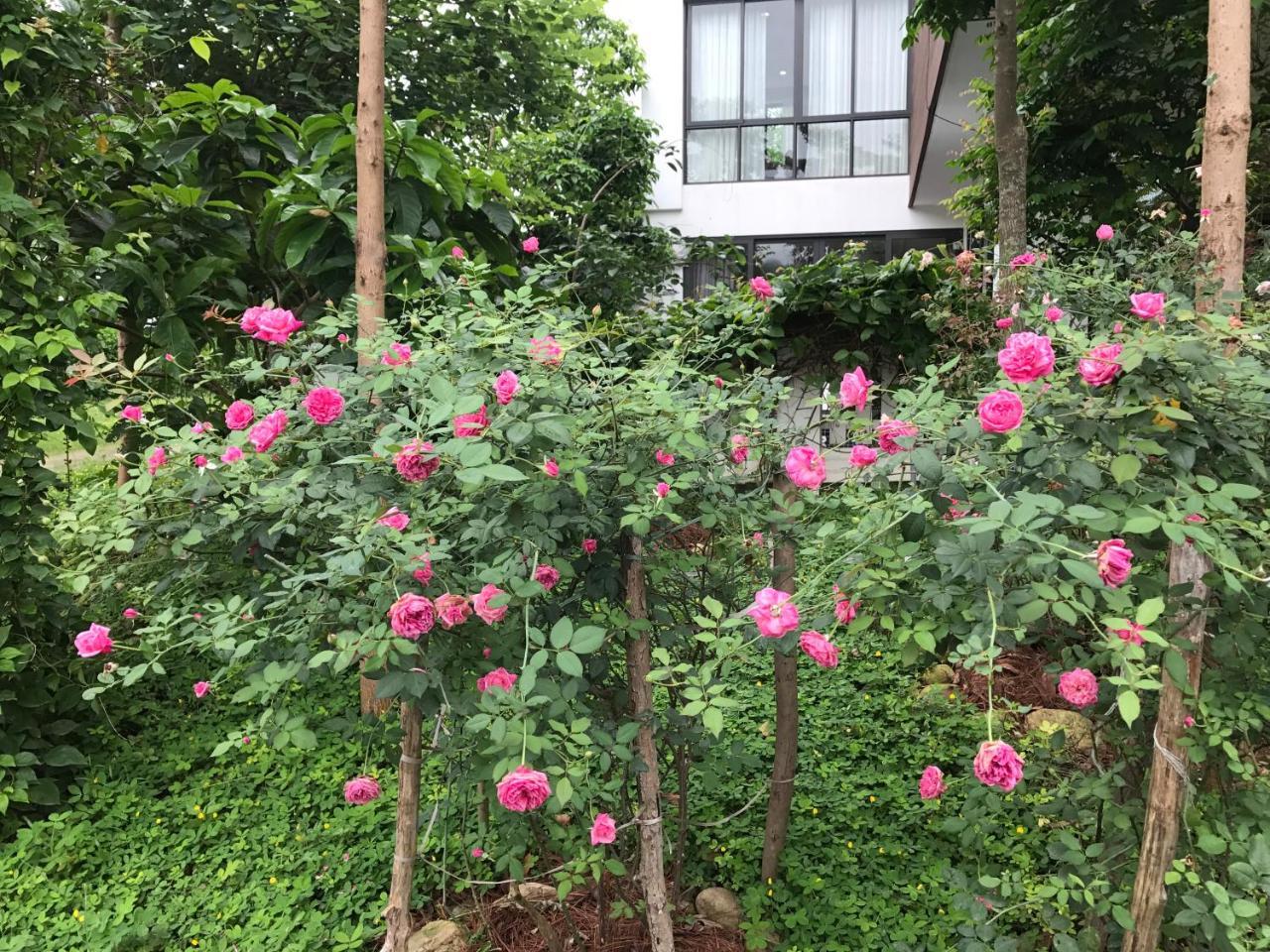 Ngoc Quang Flamingo Dailai - Hq Villa מראה חיצוני תמונה